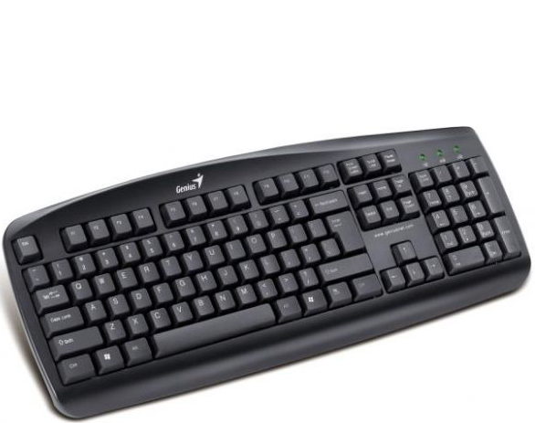 Genius KB-110 (PS/2)